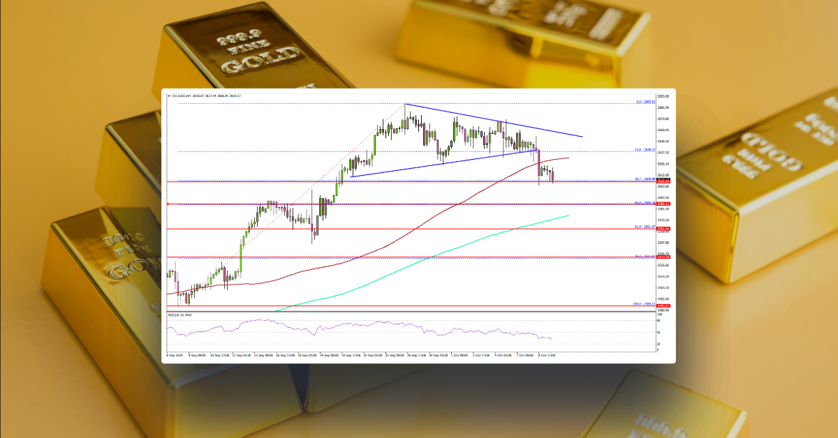 Gold Starts Correction: Is The Rally Cooling Off?