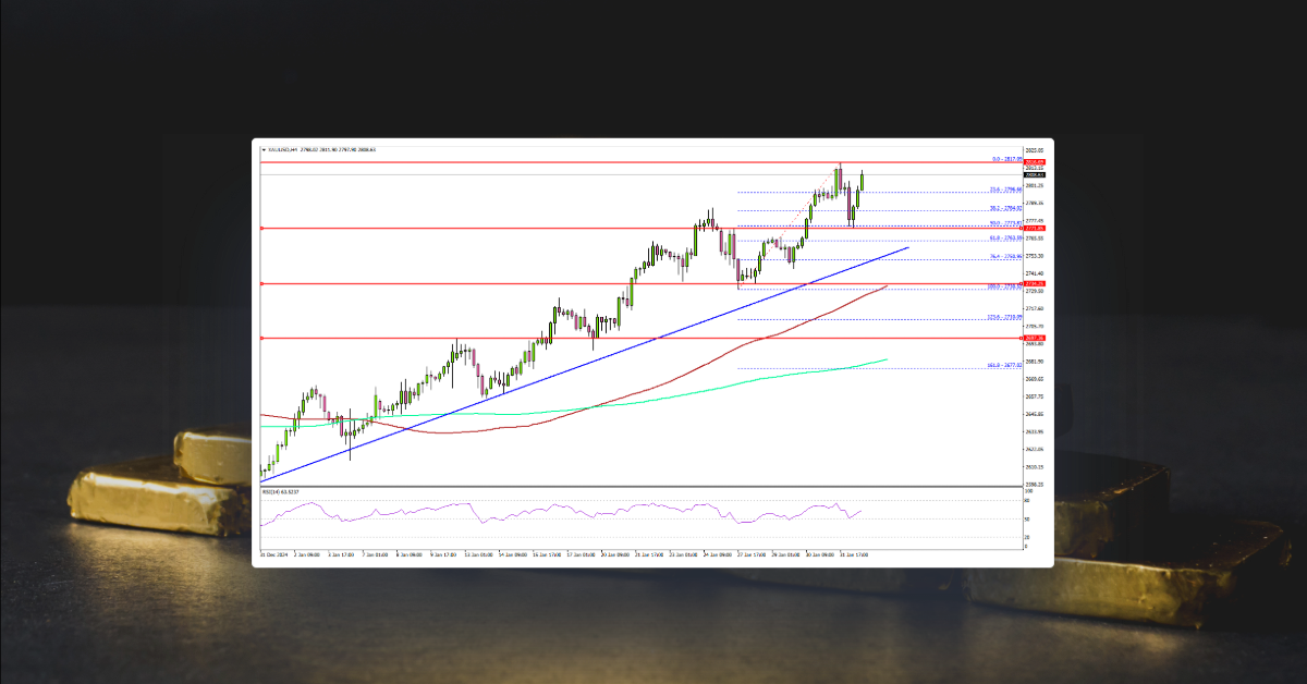Gold Shines Bright Amid Market Selloff and New US Tariffs