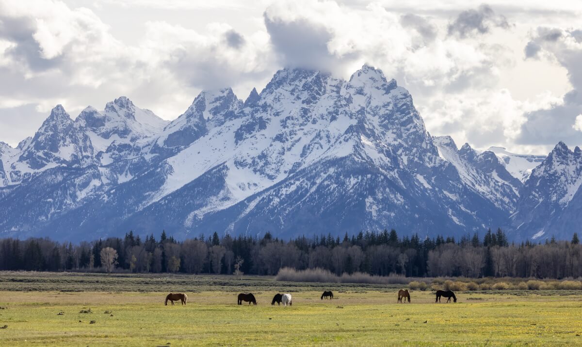 Jackson Hole Economic Symposium: Must-Watch Market Event