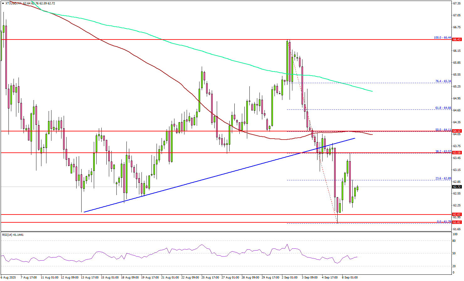 WTI Crude Oil Slide – Key Levels Every Trader Must Watch Now