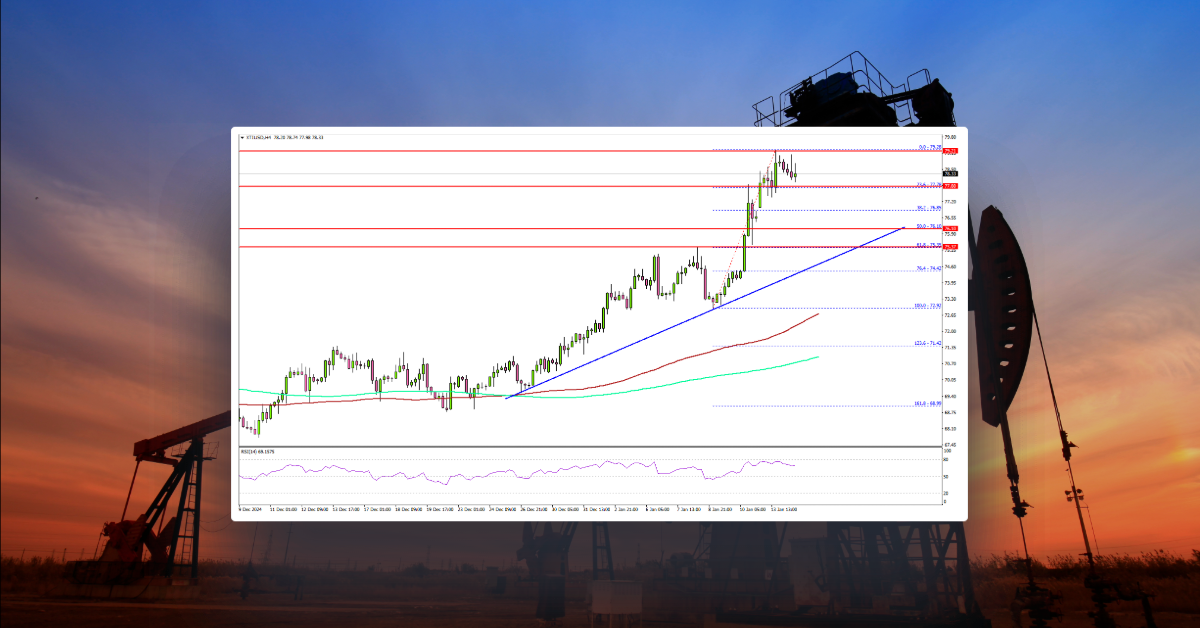 WTI Crude Oil Prices Surge: Bulls Drive the Rally, US CPI Next