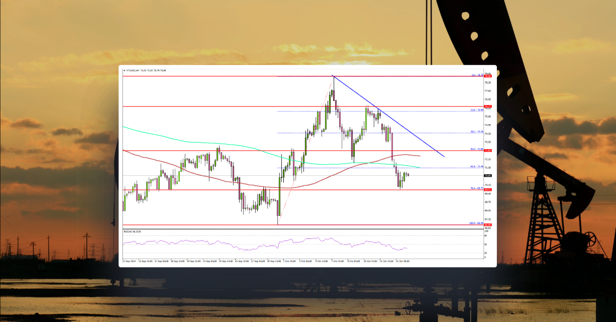 WTI Crude Oil Cut Back Gains: Will the Slide Continue?