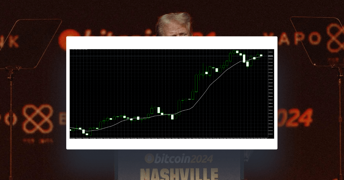 This Week's Trump Trades: Key Trades for the Week of Dec 2