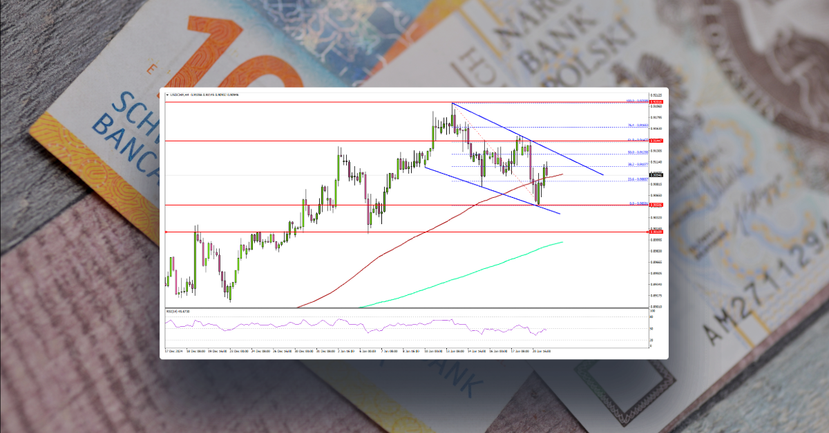 USD/CHF Holds Gains: Will Dollar Bulls Be Back In Action?