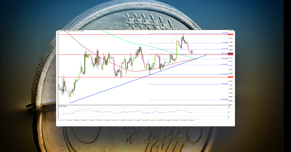 EUR/USD Holds Support, Can Bulls Save The Day?