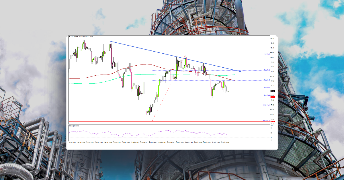 Crude Oil Price At Risk of Additional Losses