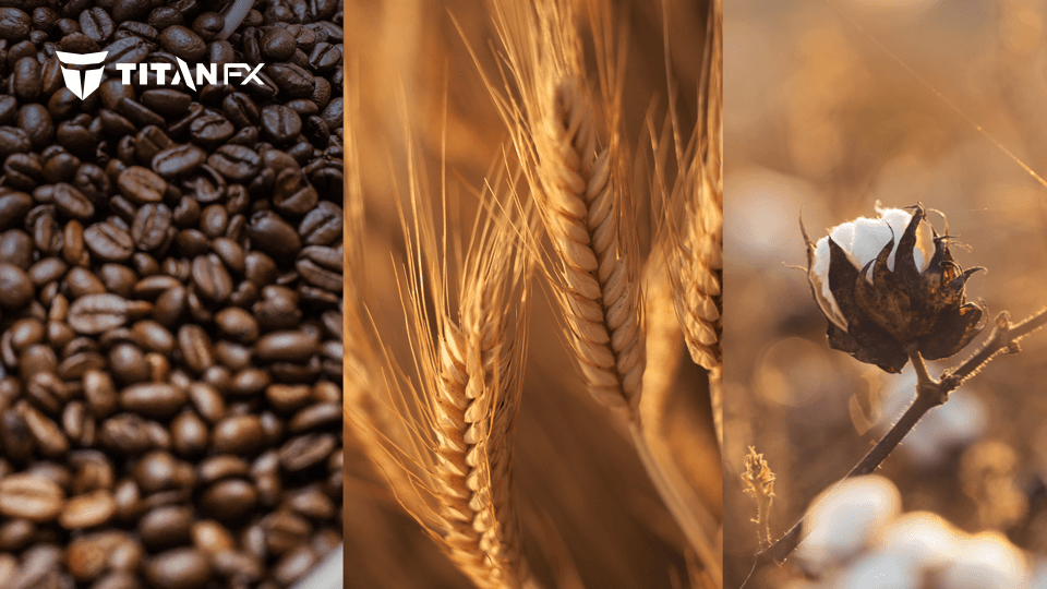 Soft Commodities Now Available