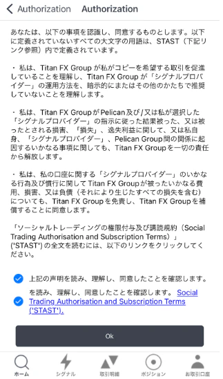 Authorization 確認画面