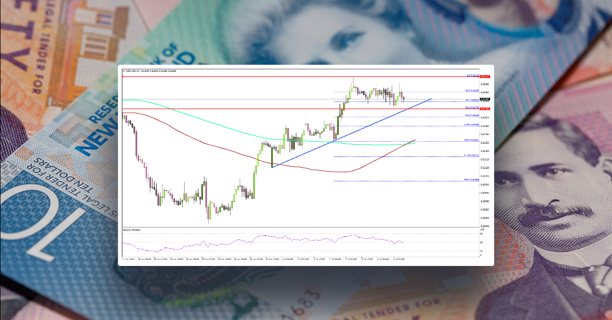 NZD/USD Consolidates Gains, US Jobs Report Next