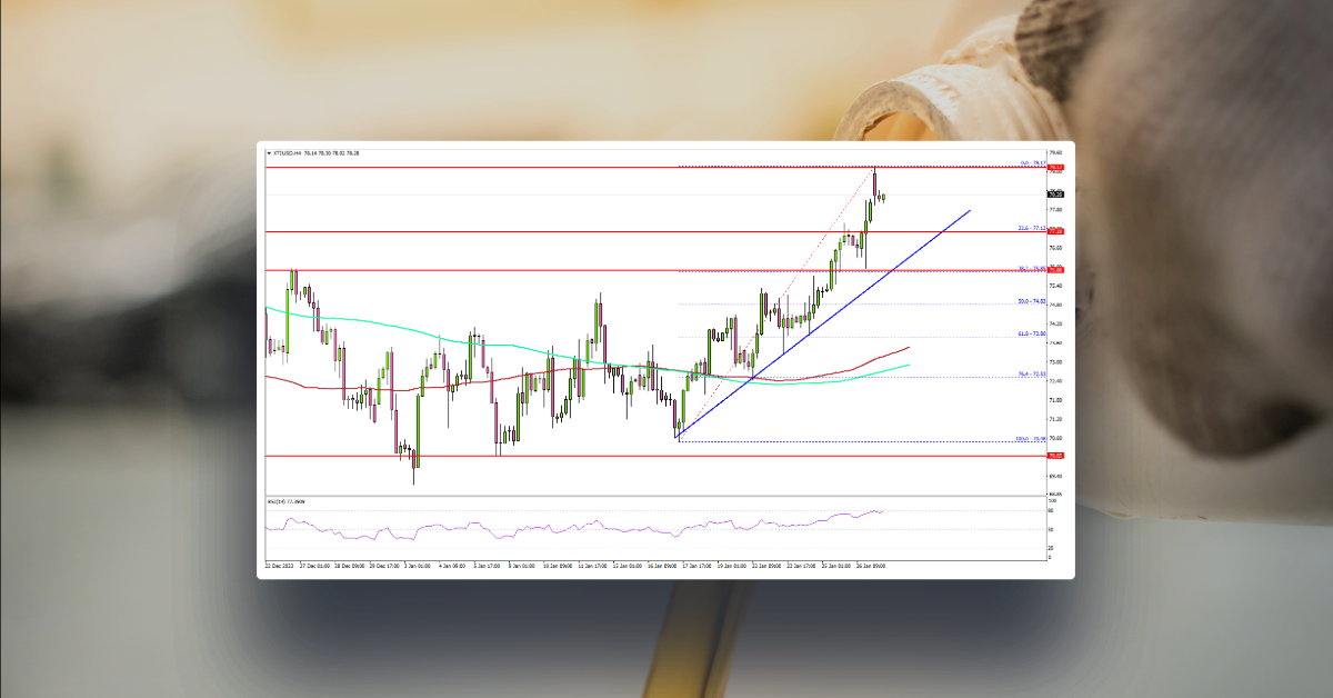 Crude Oil Price Rally Stalls But Not Likely Over
