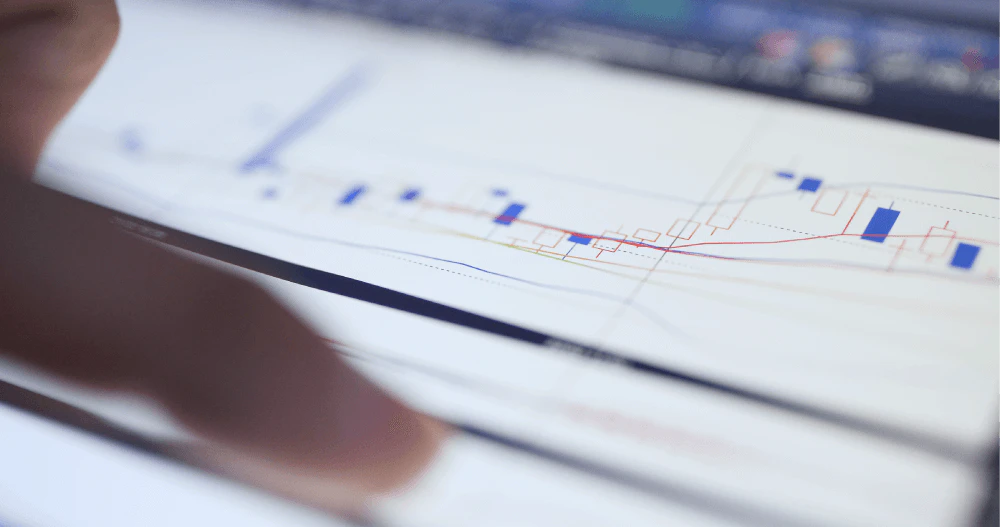 This Weeks Focus Image