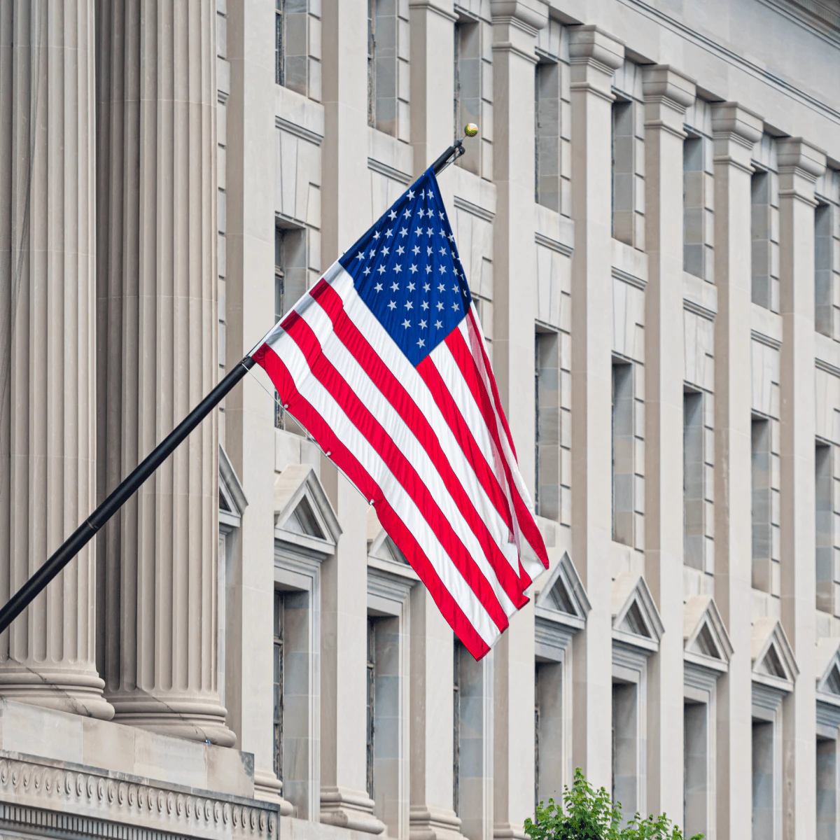 US Flag Price image