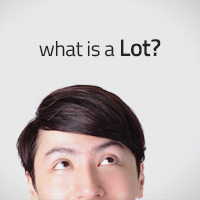 11. What is a Lot?