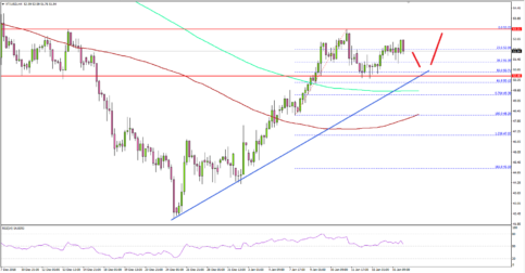 Crude Oil Price Remains Supported Near $50